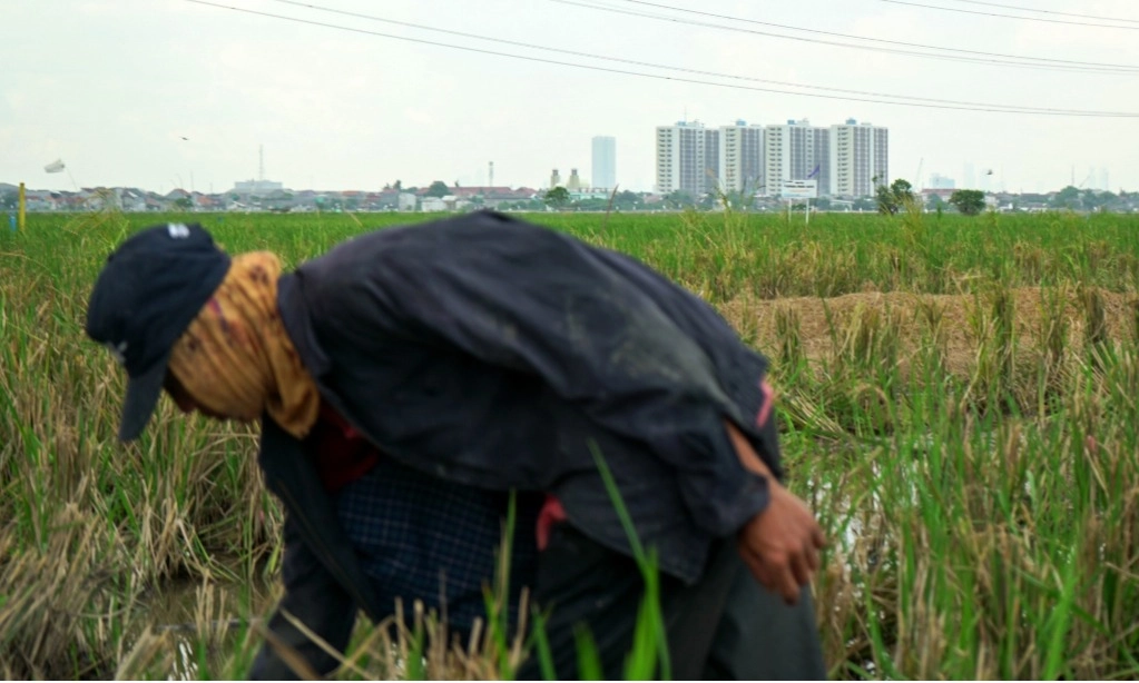 <p id="isPasted">Menko Muhaimin: Pemerintah Godok Rencana Bagikan Tanah Untuk Petani Desil 1-2</p>
