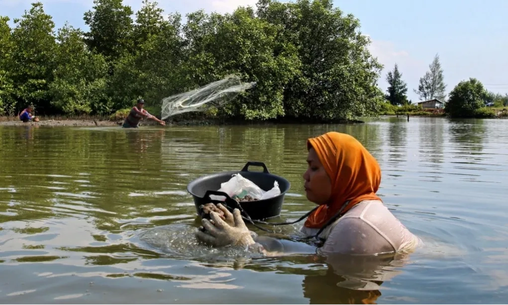 <p>Nelayan Perempuan Terampas Haknya</p>