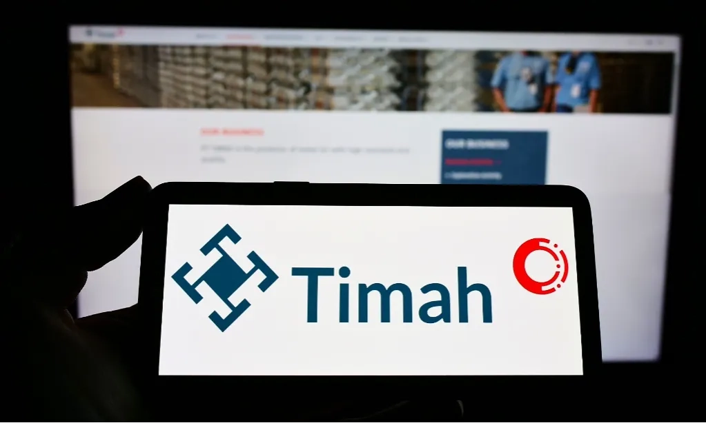 <p id="isPasted">TINS Batal Masuk MSCI, Analis: Harus Kaji Ulang FCA</p>