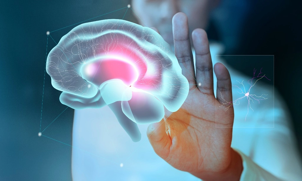 <p>Nutrisi Penting Saat Pemulihan Stroke</p>