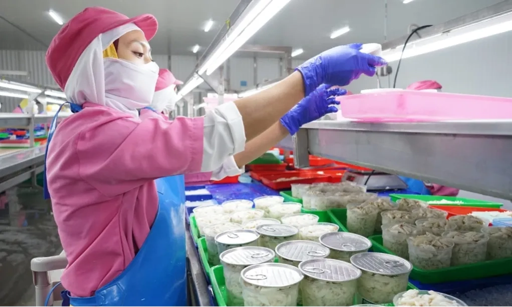 <p id="isPasted">KKP Terbitkan Petunjuk Teknis Untuk Permudah Ekspor Rajungan Ke AS</p>