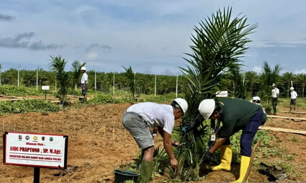 <p id="isPasted">Tanpa Peremajaan, Kementan Proyeksi Produksi CPO RI Turun Sampai 2045</p>