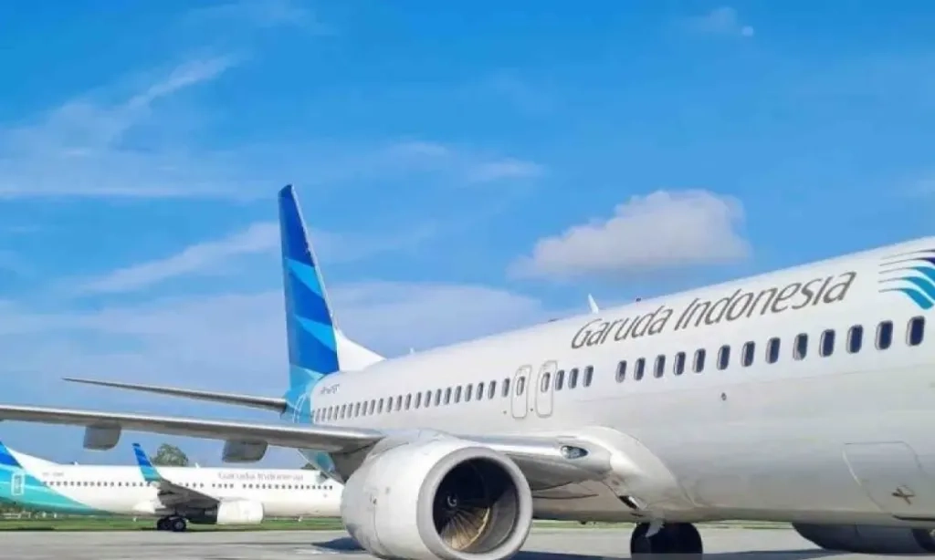 <p dir="auto" id="isPasted">Danantara Beri Misi Khusus untuk 2 Ekspatriat Direktur Garuda</p>