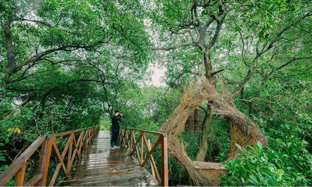 <p>Fungsi Kebun Raya Lebih Dari Sekadar Pelestarian Biodiversitas</p>