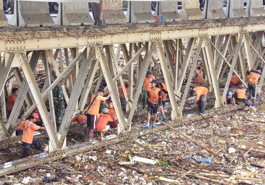 Buang Kotoran Hewan Sembarangan, Didenda Rp 1 Juta