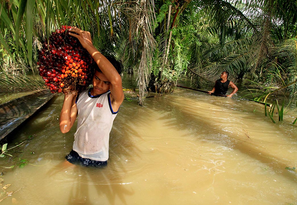 Wilayah Pedesaan di Lamandau Rawan Banjir