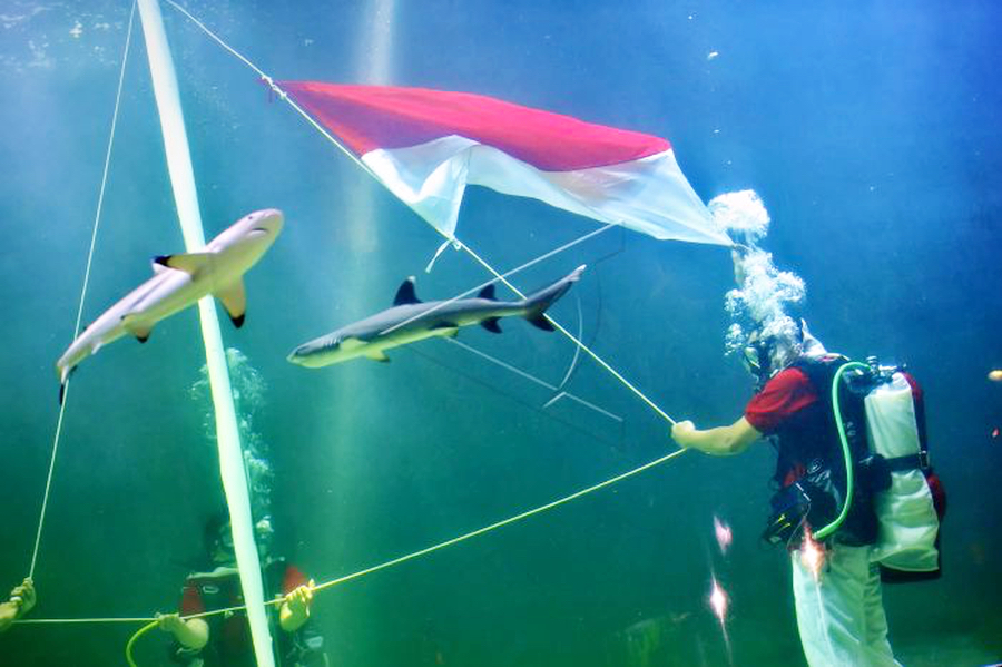 Ratusan 'Kartini' Kibarkan Merah-Putih di Laut Situbondo