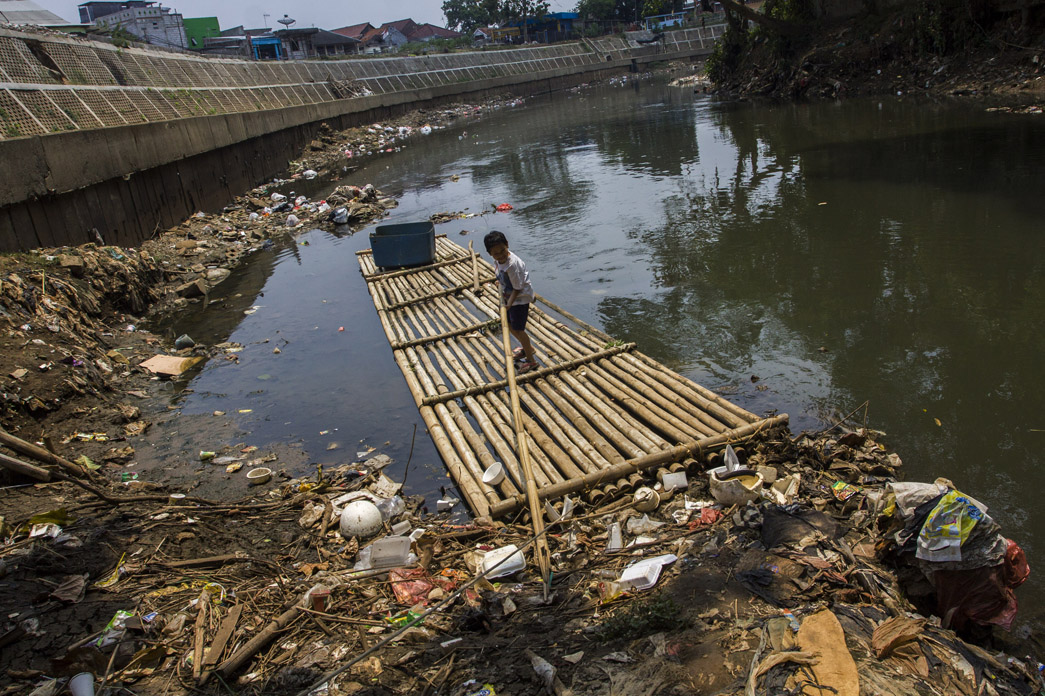 Bioremediasi dan Revegetasi Solusi Selamatkan Lingkungan