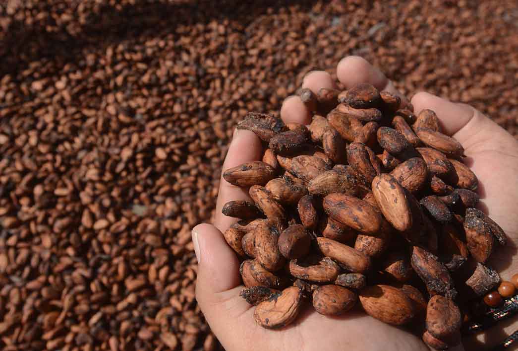 USAID-KKI Teken Kerja Sama Hadapi Perubahan Iklim