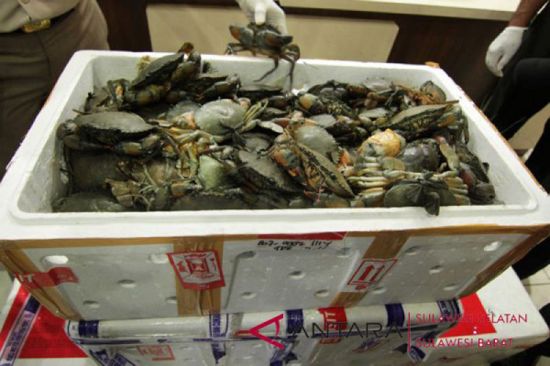 KKP: Penangkapan Kepiting Cenderung Eksploitatif