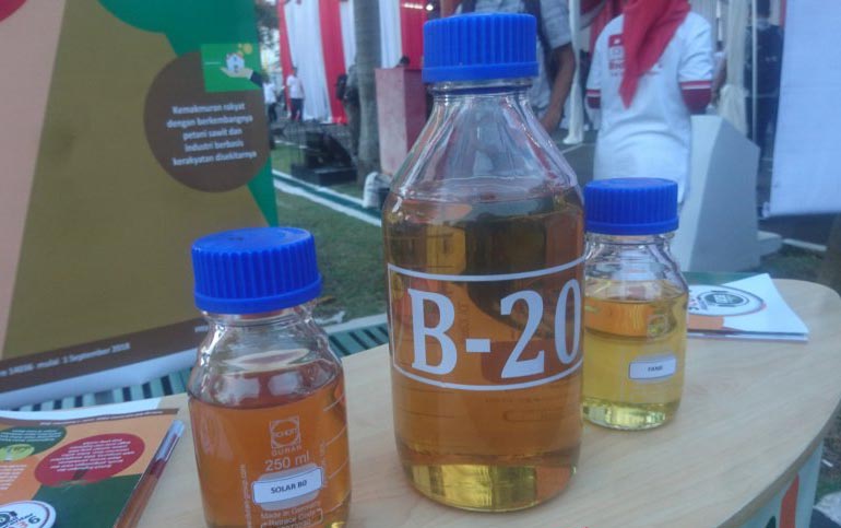 Kapasitas Pengolahan Kelapa Sawit Kian Bertumbuh