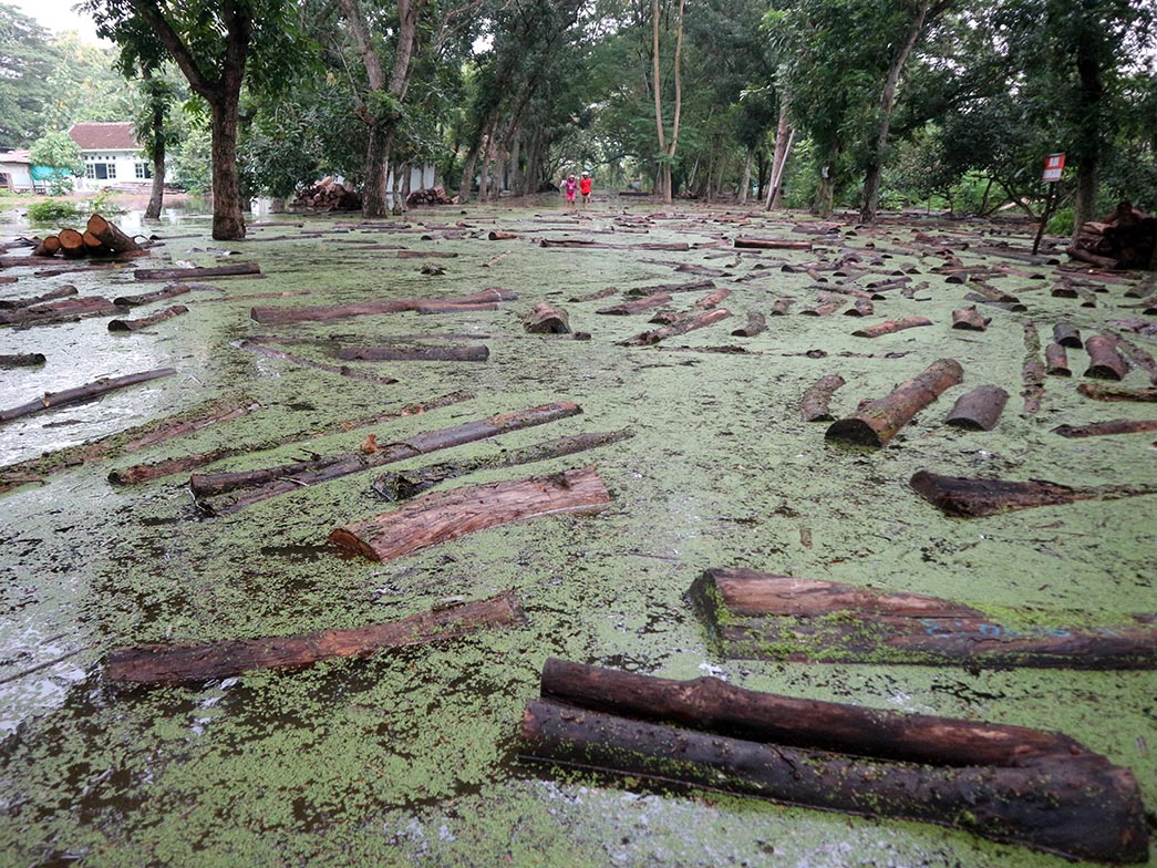 Kali Madiun Bikin Bengawan Solo Meluap 