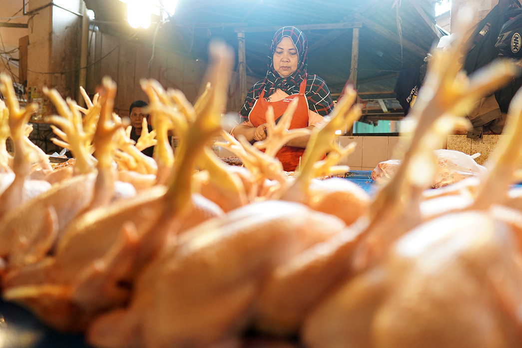 Antisipasi Ayam Tiren, Kota Sukabumi Perketat Pengawasan Di Pasar 