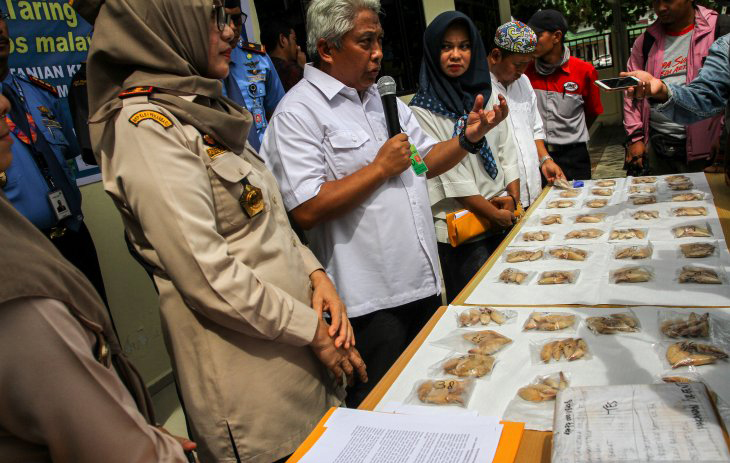 Aparat Gagalkan Penyelundupan 172 Taring Beruang Madu