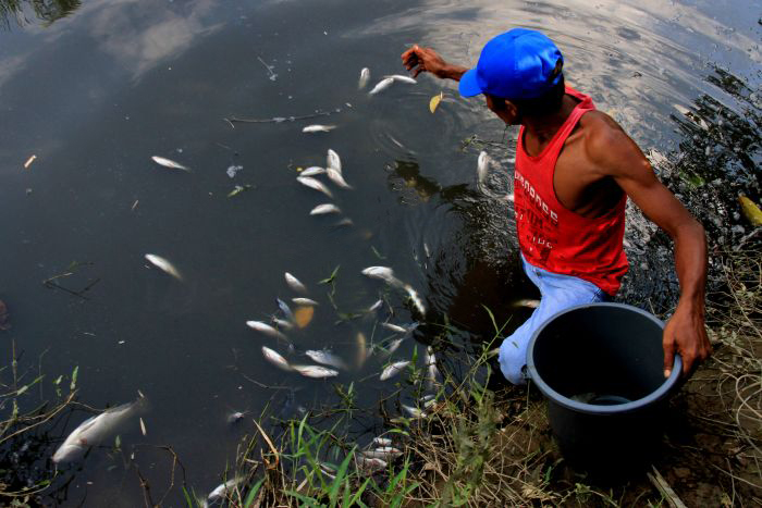 Desakan LSM Soal Pencemaran Air di Pelabuhan Panjang, Lampung