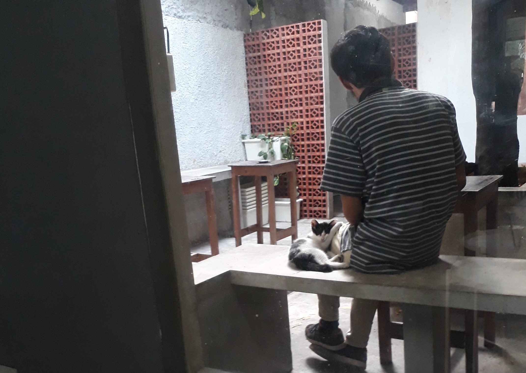 Evolusi Cinta Binatang dan Manusia