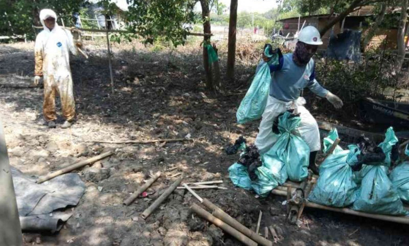 Muaragembong Terdampak Tumpahan Minyak ONWJ