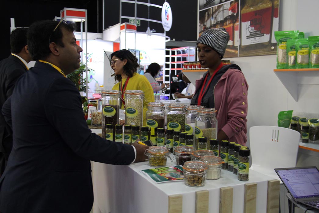 Ekonomi Afrika Lebih Cepat Berkembang jika Kerja Sama dengan Indonesia