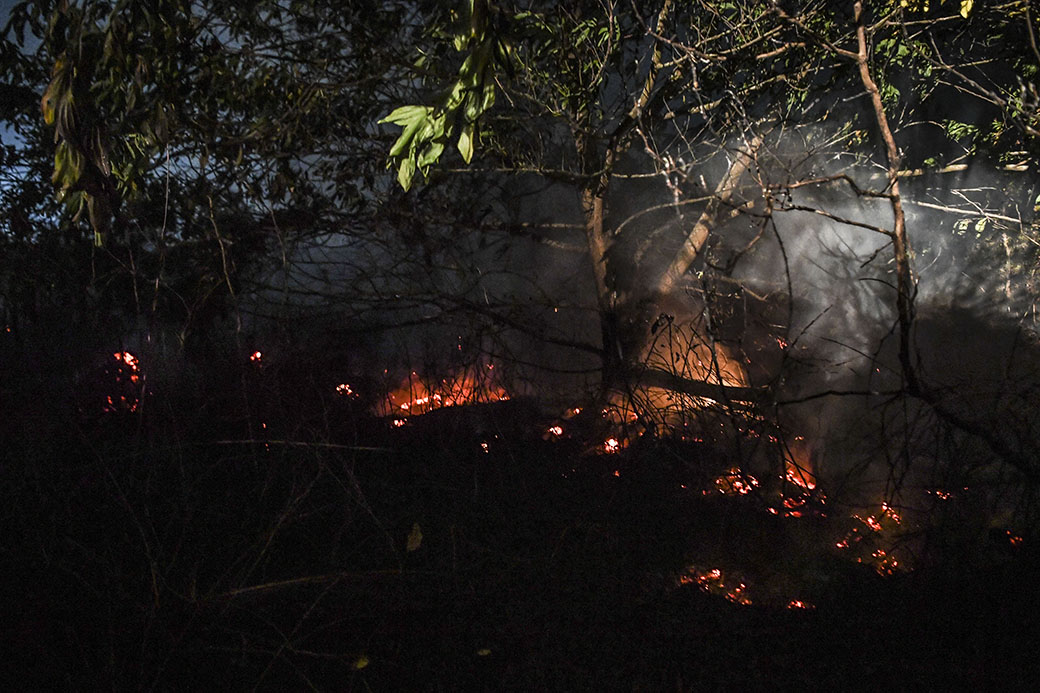 Jarak Pandang Menurun Tak Pengaruhi Pelayaran Di Sekupang 
