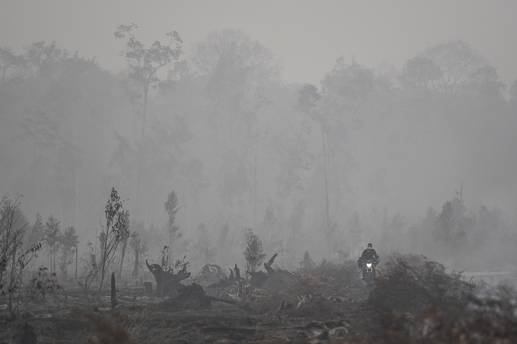 Rumusan Pidana Lingkungan Hidup Lemahkan Pertanggungjawaban Korporasi
