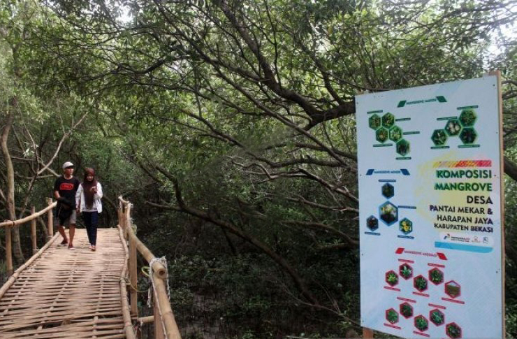 Pemkab Bekasi Dapat Bantuan Rp32 Miliar Untuk Tata Wisata di Muaragembong