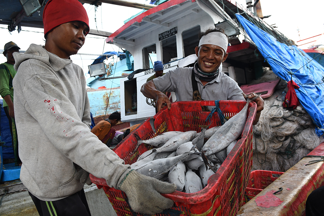 Pasokan Ikan Penuhi Target Peningkatan Konsumsi