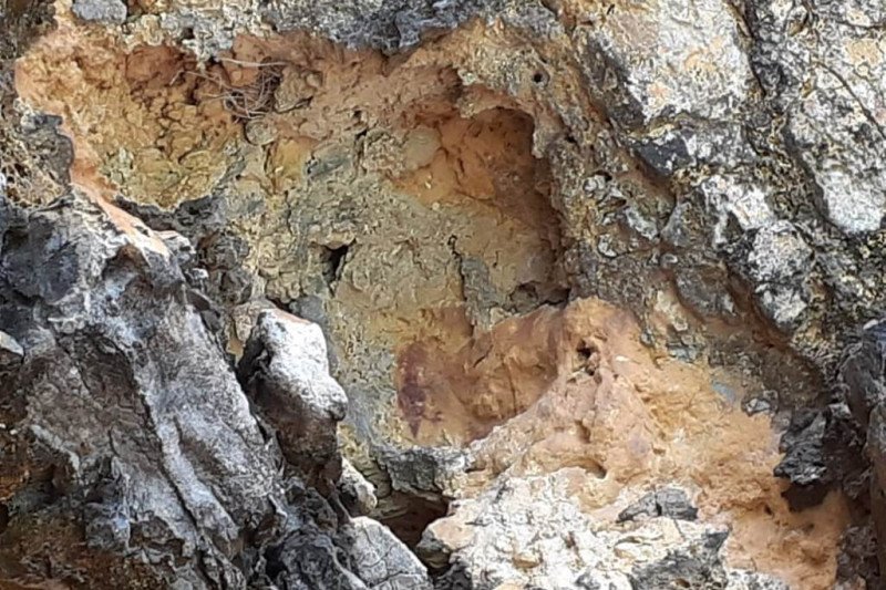 Lukisan Dinding Bersejarah Ditemukan Di Papua Barat