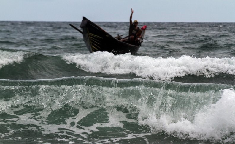 Lumba-Lumba Dijual Nelayan Tradisional