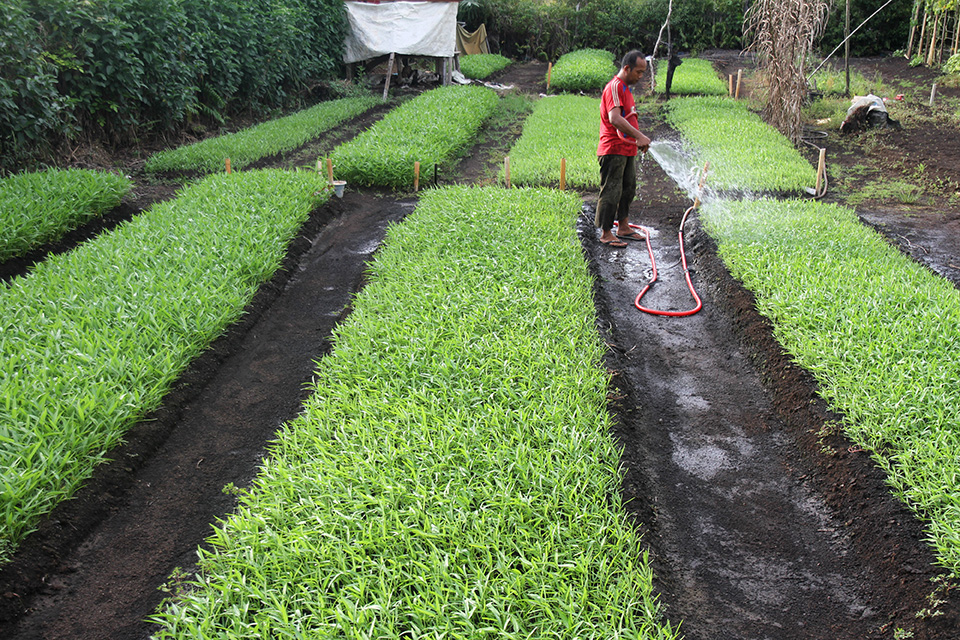 Peran Agama Penting Dalam Upaya Konservasi Lingkungan
