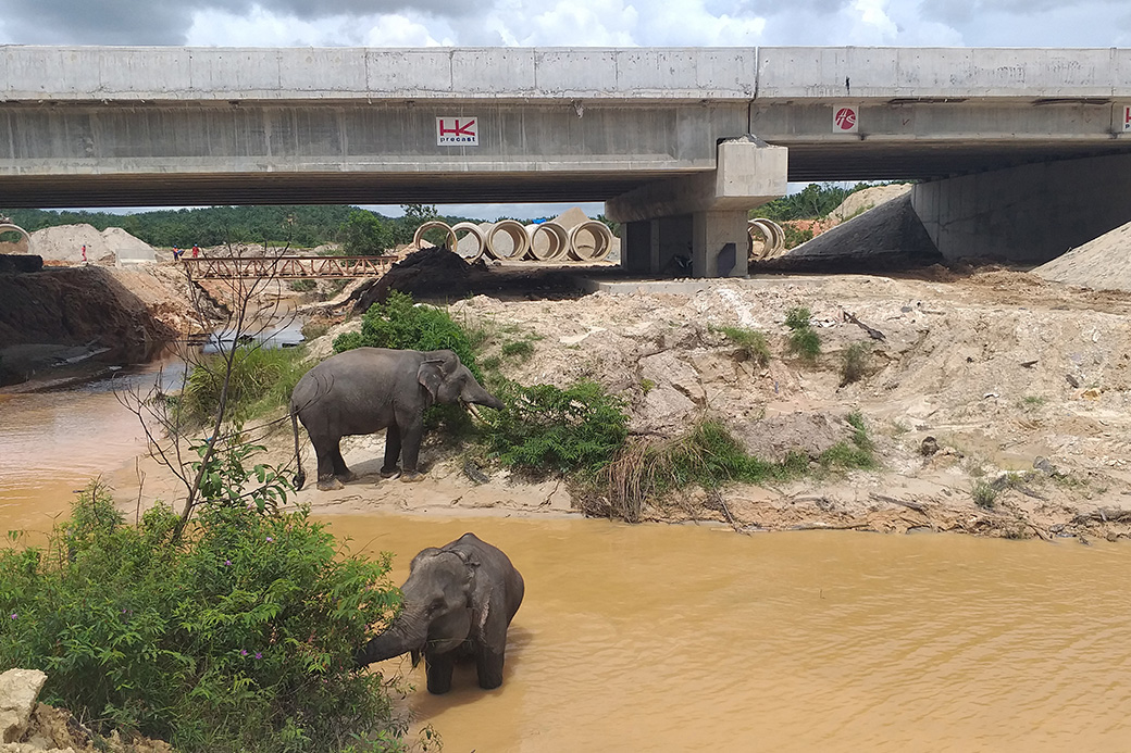 Hutama Karya Terbitkan Global Bonds US$600 Juta