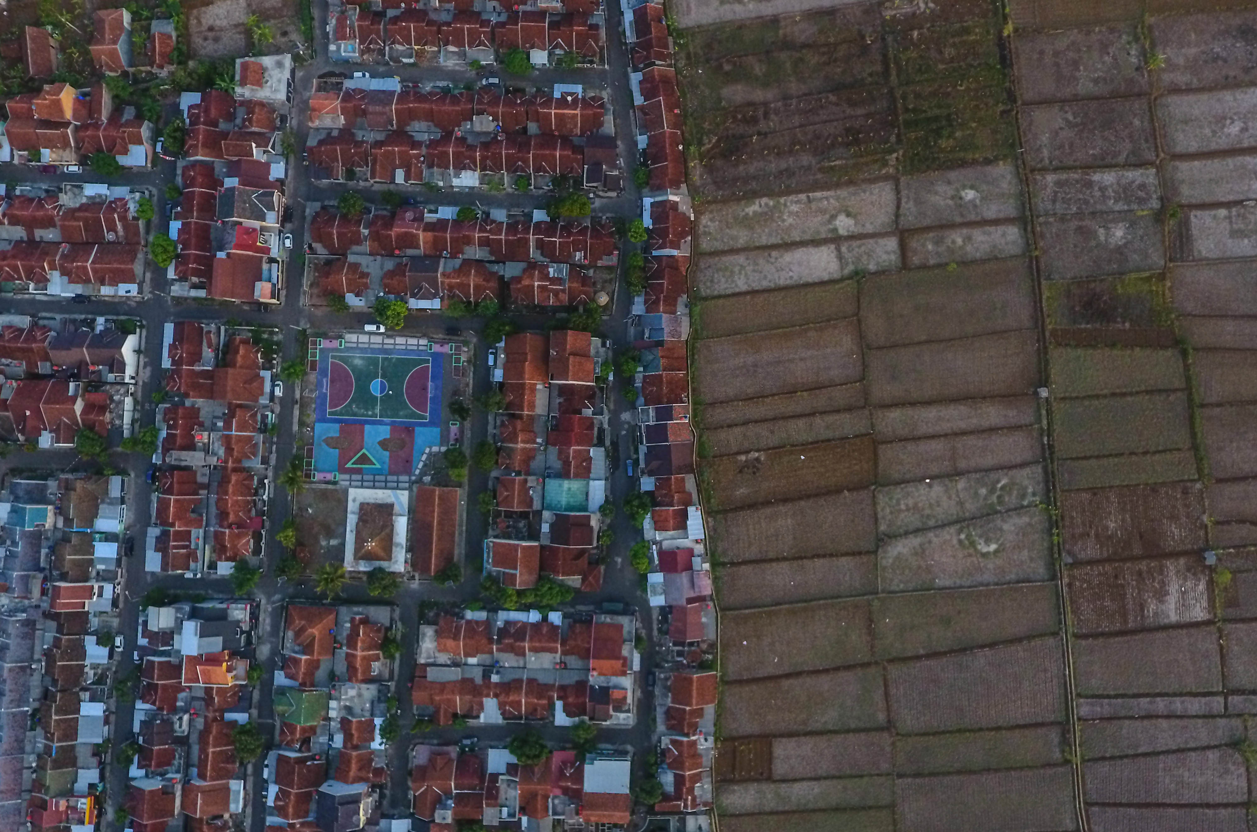 Pemerintah Kaji Potensi Lahan Persawahan Baru Antisipasi Krisis Pangan