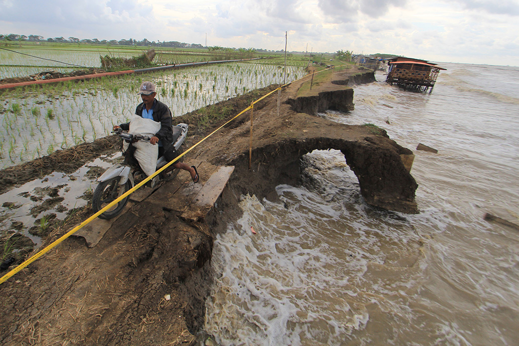 Optimalisasi Lahan di Kalteng  Dimulai 2020-2022