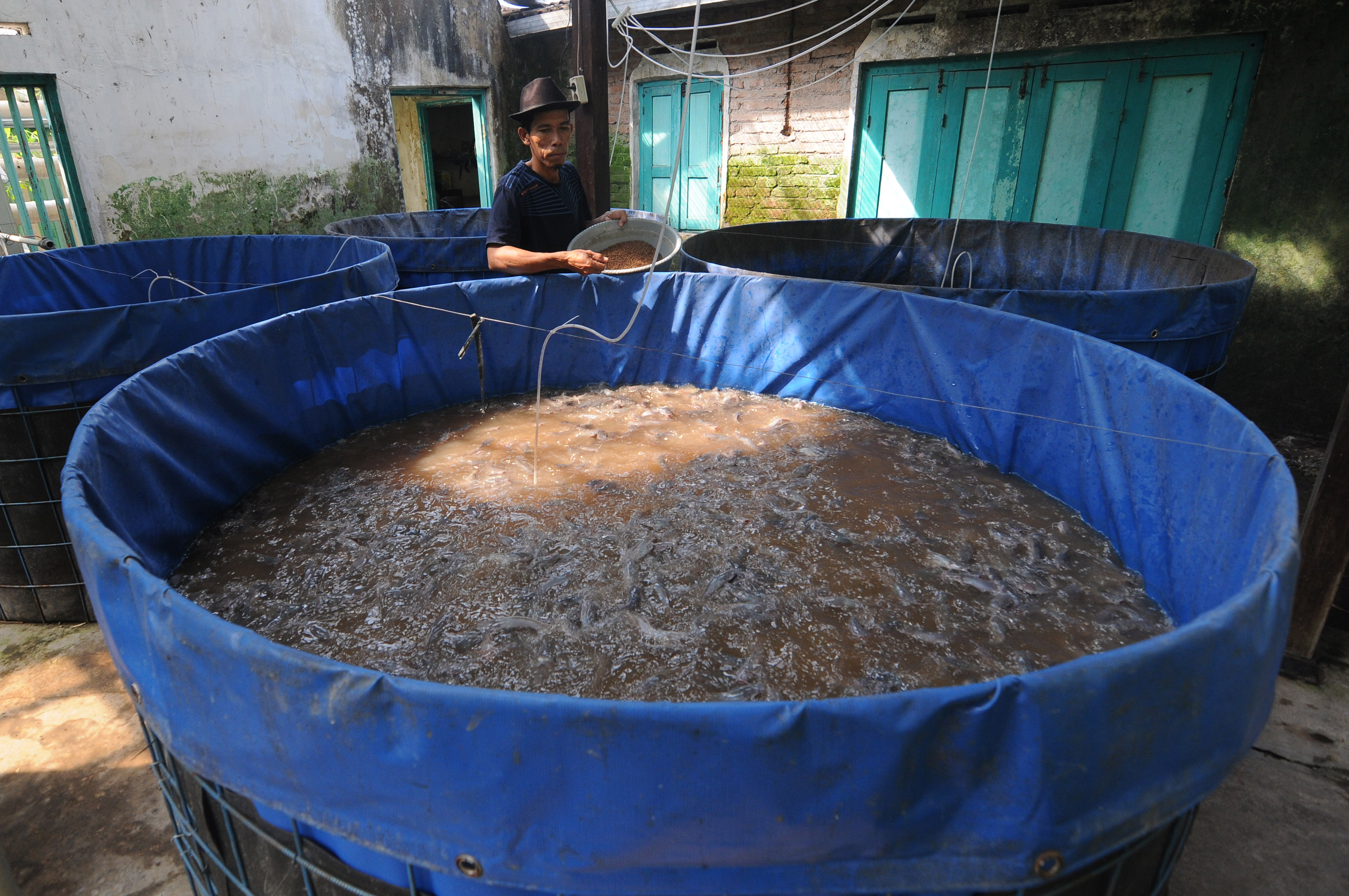 Perikanan Budi Daya Belum Optimal, KKP Minta Bantuan UNIDO