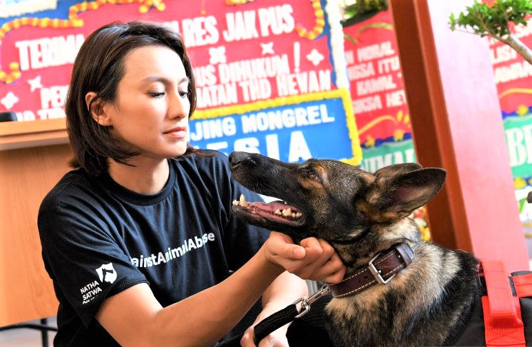 Komunitas Pencinta Satwa Berharap Aturan Khusus Hewan Peliharaan