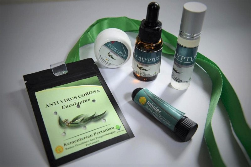 Soal Kalung Eucalyptus, Ahli: Bikin Malu Indonesia