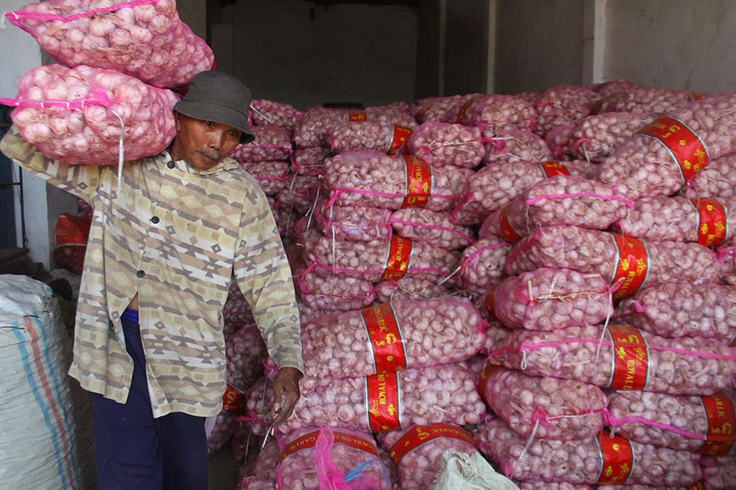 Importasi Bawang Putih Non-RIPH Masih Terjadi