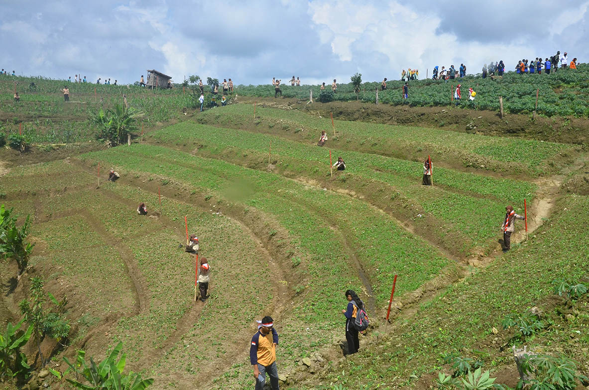 Pemulihan Lahan Kritis di Indonesia Butuh 60 Tahun