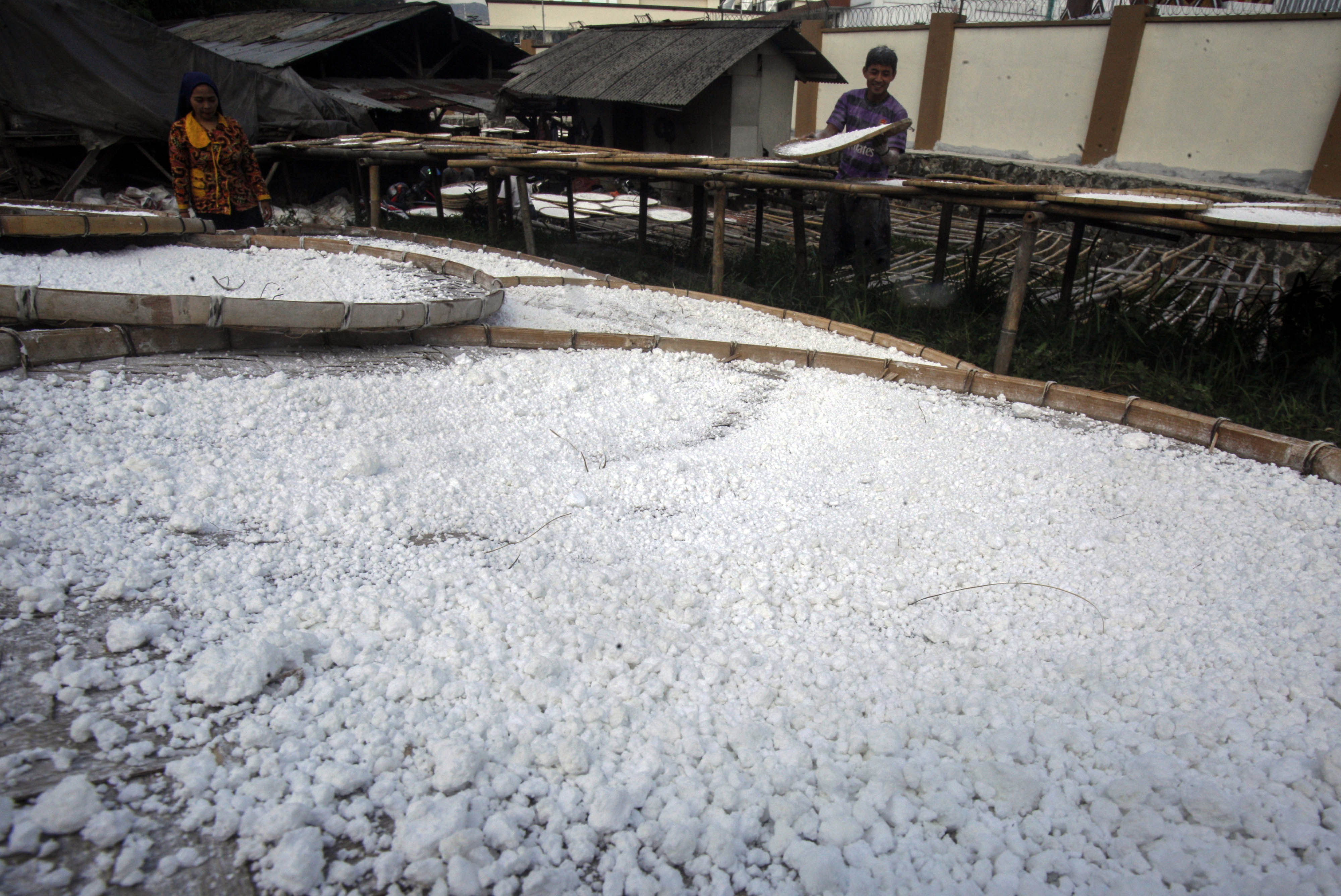 Mentan Dorong Konsumsi Enam Sumber Karbohidrat Selain Nasi