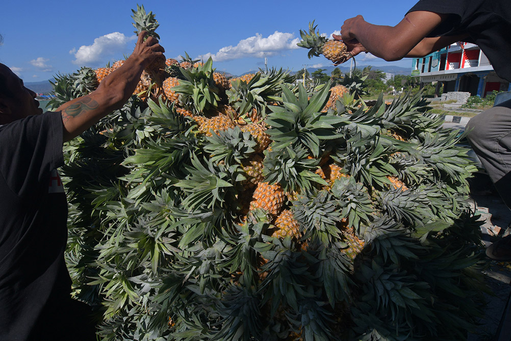 Kemenkop UKM Perkuat Kemitraan Koperasi-TaniHub Serap Hasil Tani