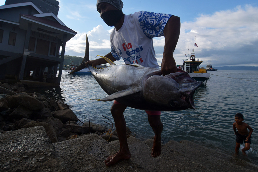 Tinggi, Kandungan Lemak Tak Jenuh Dalam Jeroan Ikan