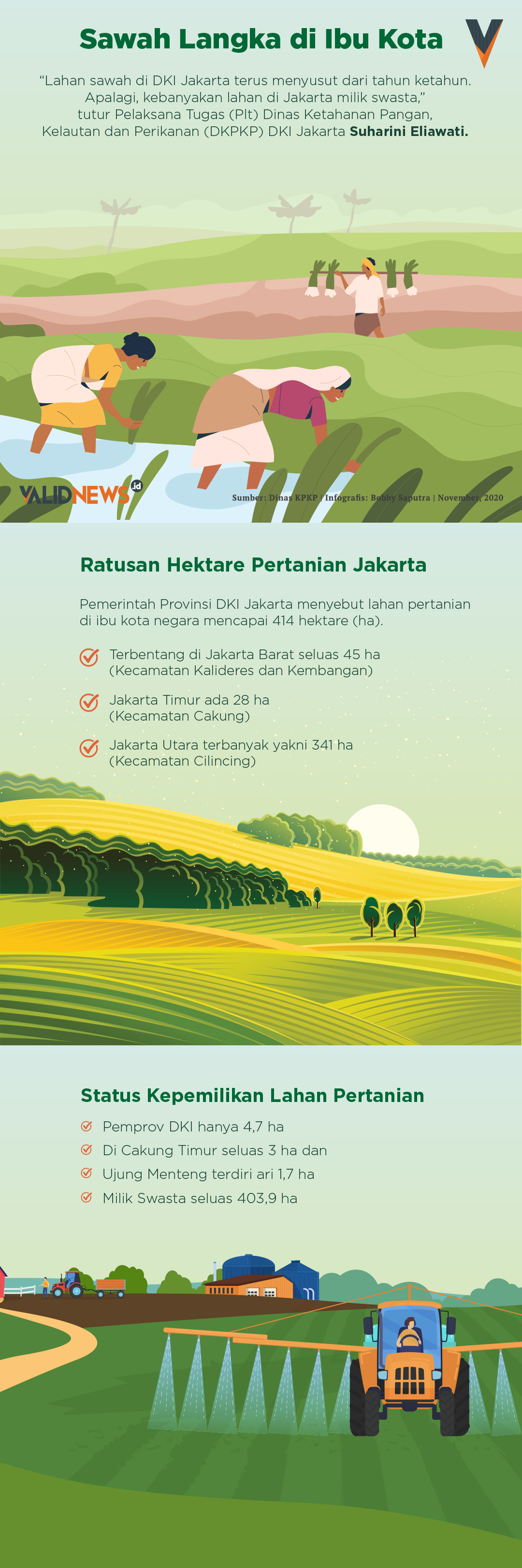 Sawah Langka di Ibu Kota