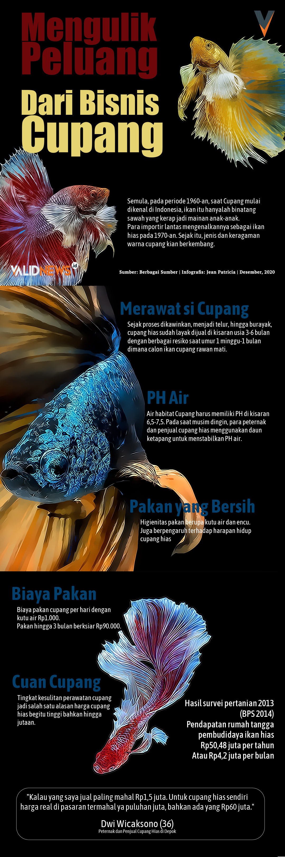 Mengulik Peluang Dari Bisnis Cupang