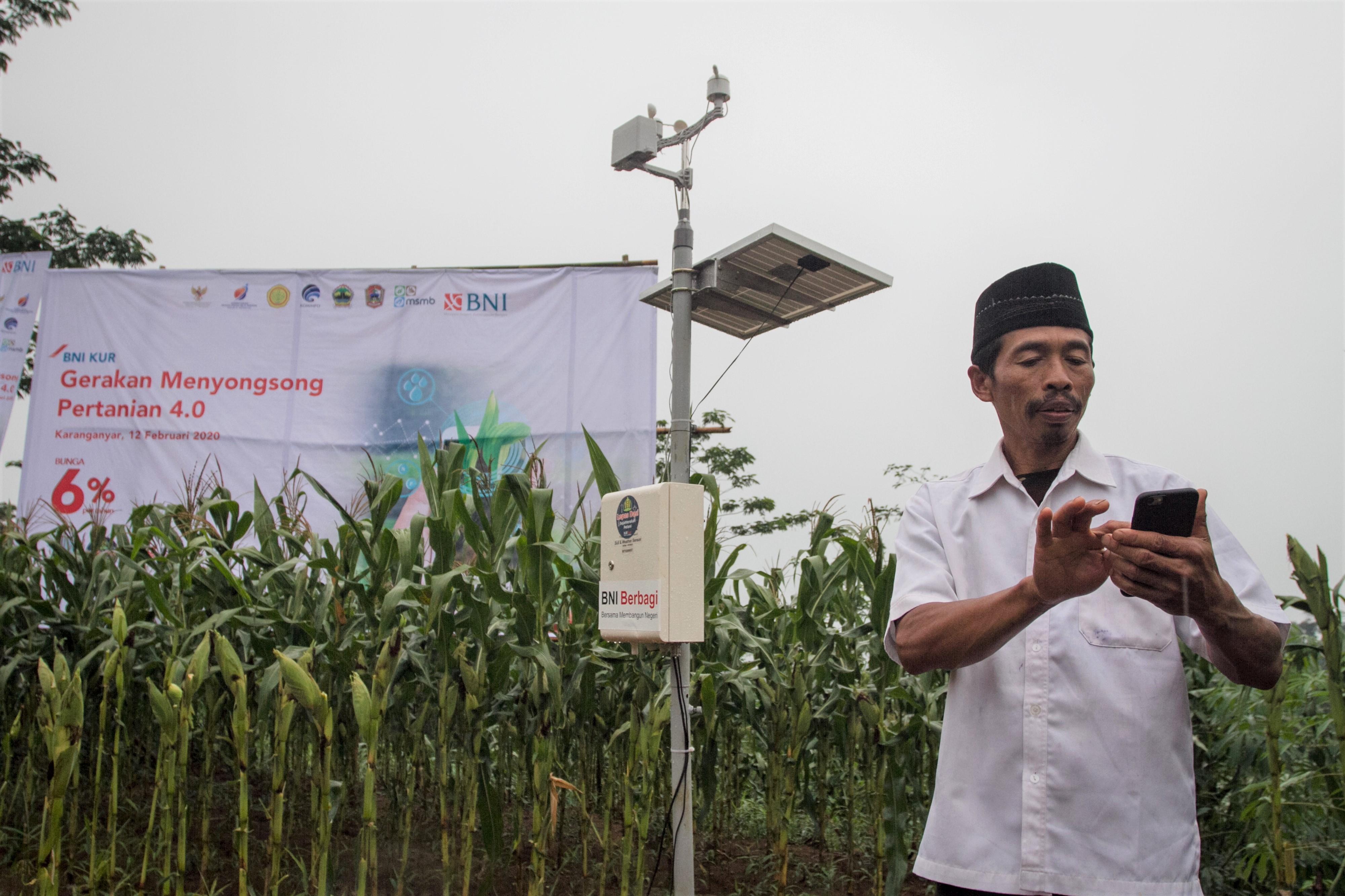 PLN Sediakan Akses Modal Elektrifikasi Pertanian