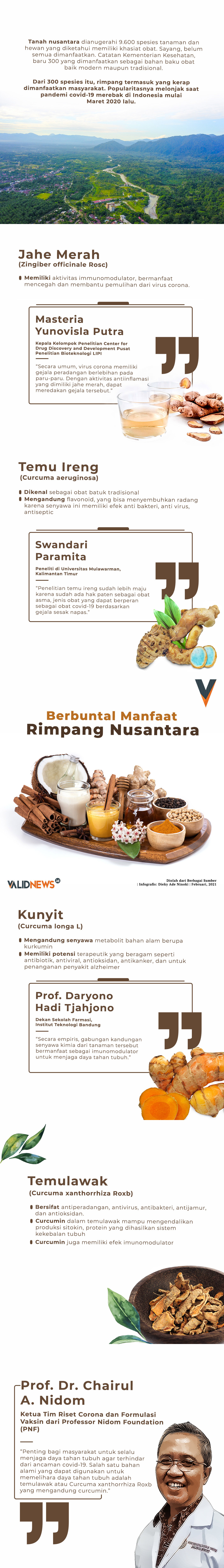 Berbuntal Manfaat Rimpang Nusantara