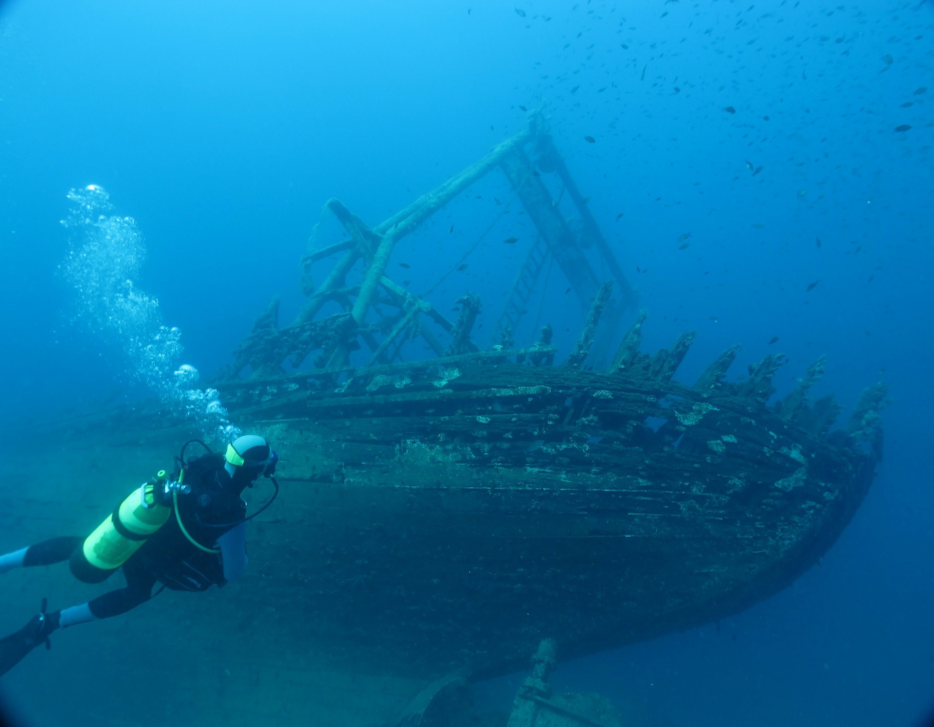 Temuan Baru tentang Laut Dalam Buktikan Masih Banyak yang Belum Diketahui