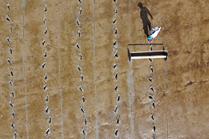 Gandeng iGrow, BCA Kucurkan KUR Pertanian Rp25 Miliar