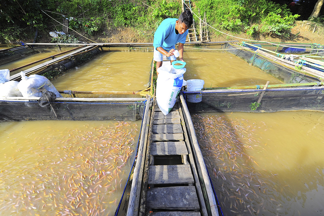 KKP Gandeng BUMN, Produksi Kincir Air Dalam Negeri