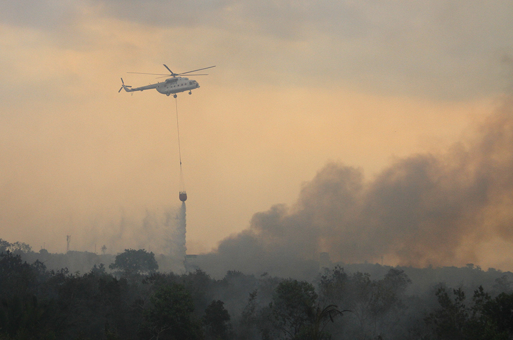 BNPB Diminta Gunakan Helikopter Atasi Karhutla