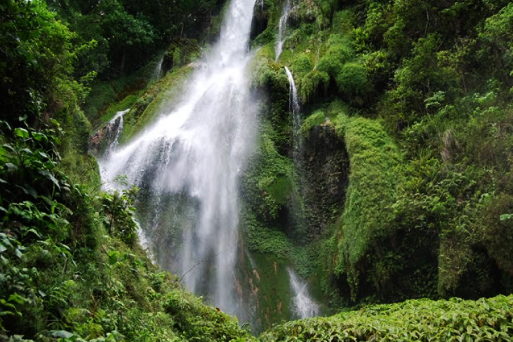 Laiwangi Wanggameti, Rumah Kupu-kupu Terbesar di Indonesia