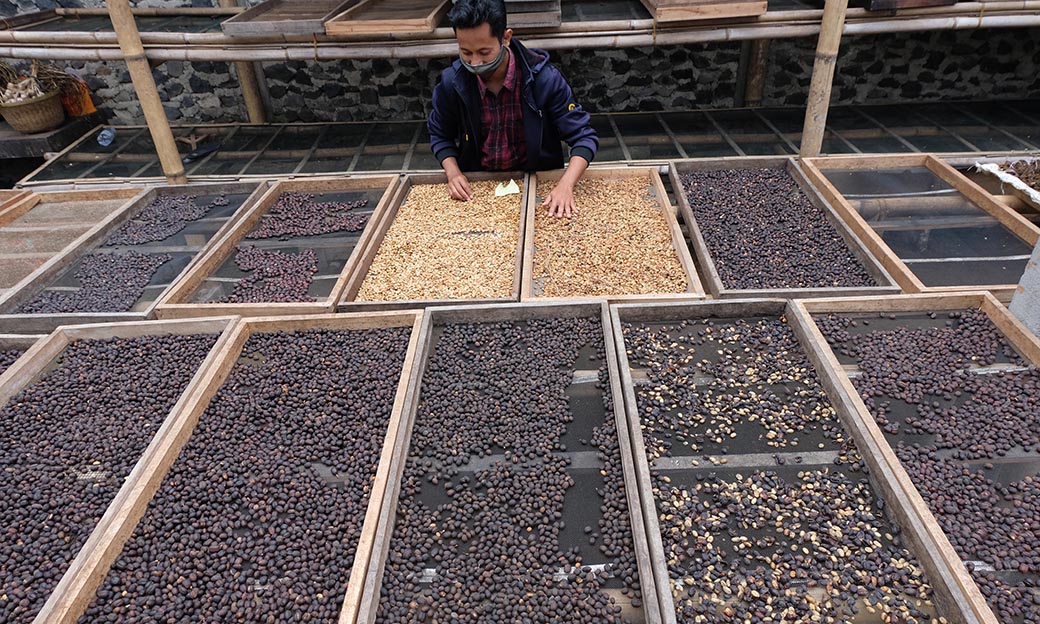 Kemendag Sambut Positif MoU Komoditas Kopi JFX-AEKI